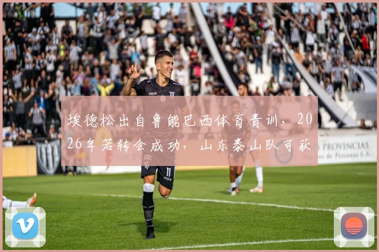 埃德松出自鲁能巴西体育青训，2026年若转会成功，山东泰山队可获得多少补偿金？