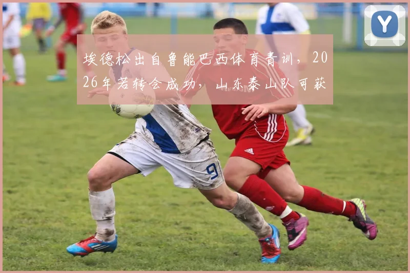 埃德松出自鲁能巴西体育青训，2026年若转会成功，山东泰山队可获得多少补偿金？