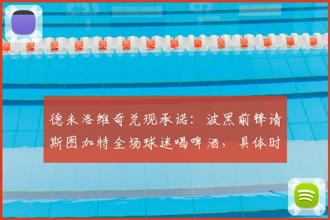 德米洛维奇兑现承诺：波黑前锋请斯图加特全场球迷喝啤酒，具体时间与方式详解